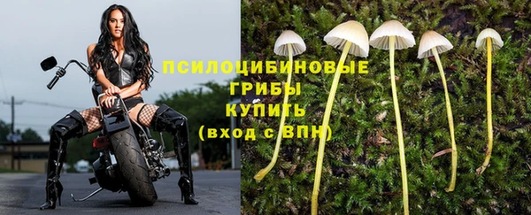 дистиллят марихуана Бородино