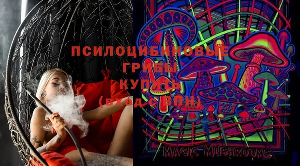 PSILOCYBIN Бронницы